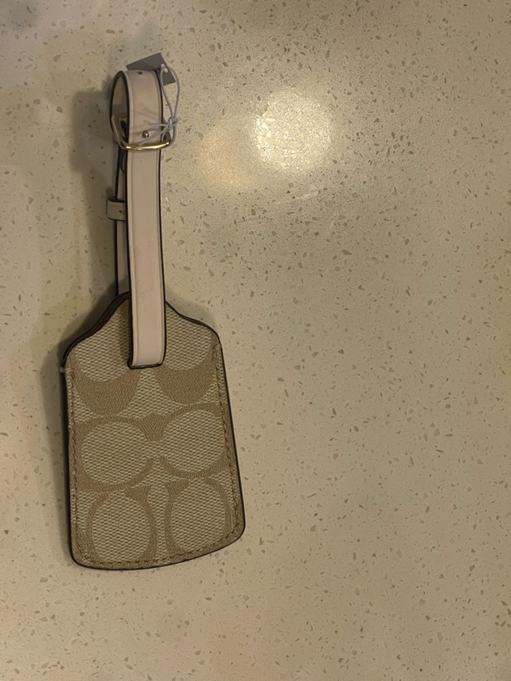 Coach Beige Signature Canvas Luggage Tag with Cream Strap